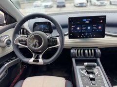 BYD Yuan Plus 510KM Flagship - ფოტო 14