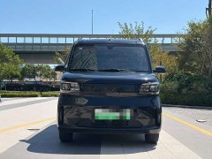Wuling Zhiguang New Energy 201km Comfort - ფოტო 2