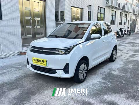 2021 Ledin Mango Edition 185km - ავტომობილი ჩინეთიდან