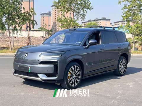 2025 Denza N9 Flagship - ავტომობილი ჩინეთიდან