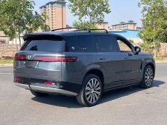 Denza N9 Flagship - ფოტო 7