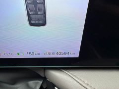 MAXUS G70 527km Forest Long Range Edition - ფოტო 16