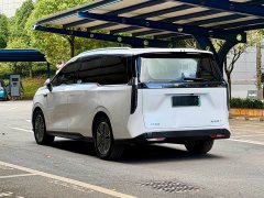 MAXUS G70 527km Forest Long Range Edition - ფოტო 6