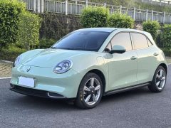 ORA Good Cat 401km Standard Range Luxury LFP - ფოტო 1