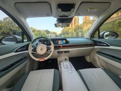 ORA Good Cat 401km Standard Range Luxury LFP - ფოტო 12