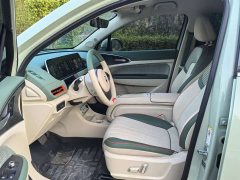 ORA Good Cat 401km Standard Range Luxury LFP - ფოტო 14