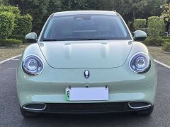 ORA Good Cat 401km Standard Range Luxury LFP - ფოტო 2