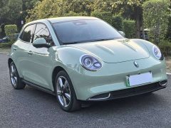 ORA Good Cat 401km Standard Range Luxury LFP - ფოტო 3