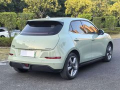 ORA Good Cat 401km Standard Range Luxury LFP - ფოტო 8