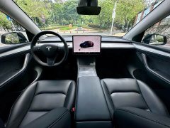 Tesla Model Y Rear-Wheel Drive - ფოტო 11