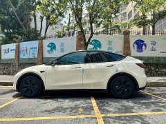 Tesla Model Y Rear-Wheel Drive - ფოტო 3