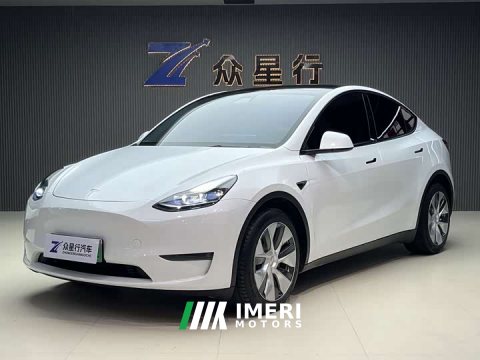 2021 Tesla Model Y Long Range All-Wheel Drive 3D7 - ავტომობილი ჩინეთიდან