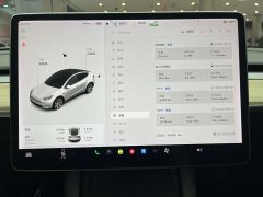Tesla Model Y Long Range All-Wheel Drive 3D7 - ფოტო 20
