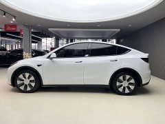 Tesla Model Y Long Range All-Wheel Drive 3D7 - ფოტო 3