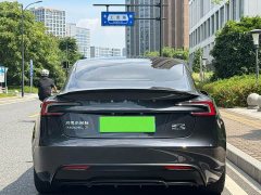 Tesla Model 3 High Performance All-Wheel Drive - ფოტო 11