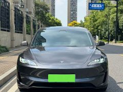 Tesla Model 3 High Performance All-Wheel Drive - ფოტო 2