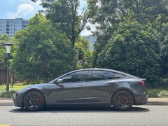Tesla Model 3 High Performance All-Wheel Drive - ფოტო 3