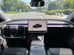 Tesla Model 3 High Performance All-Wheel Drive - ფოტო 6