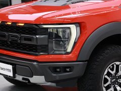 Ford F-150 Raptor 3.5T Raptor - ფოტო 8