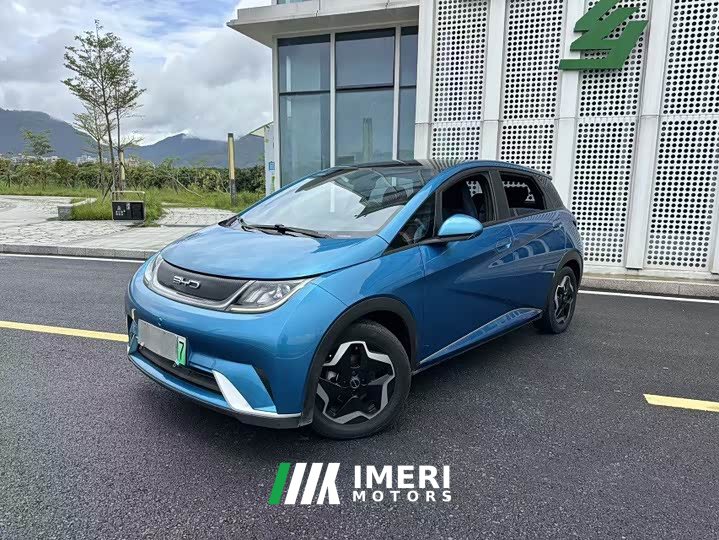 BYD Dolphin 405km Fashion Edition - ავტომობილი ჩინეთიდან