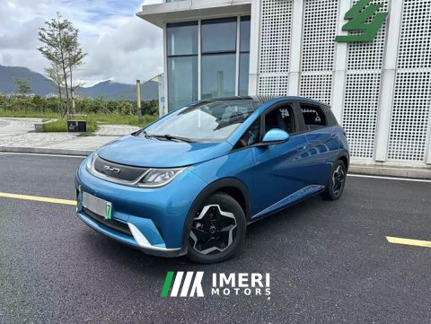 2023 BYD Dolphin 405km Fashion Edition - ავტომობილი ჩინეთიდან