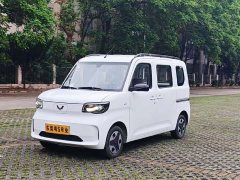 Wuling Zhiguang New Energy 305km Aspiring Edition - ფოტო 1