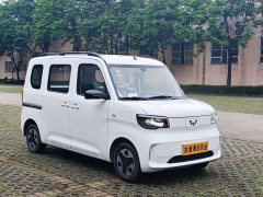 Wuling Zhiguang New Energy 305km Aspiring Edition - ფოტო 3