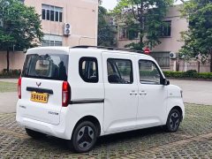 Wuling Zhiguang New Energy 305km Aspiring Edition - ფოტო 4