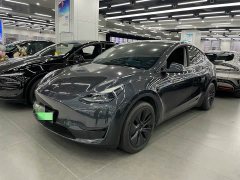 Tesla Model Y Rear-Wheel Drive - ფოტო 2