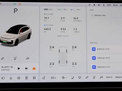 Li Auto L7 Air - ფოტო 17