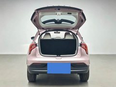 Geely Geometry E Firefly 301km Starlight - ფოტო 11