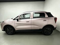 Geely Geometry E Firefly 301km Starlight - ფოტო 3