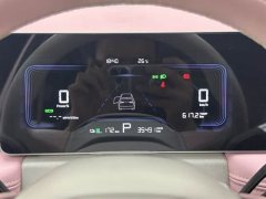 Geely Geometry E Firefly 301km Starlight - ფოტო 6