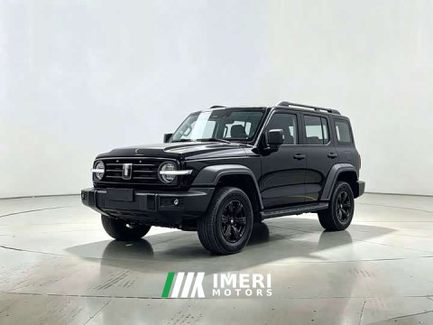 2024 Tank 300 2.0T Conqueror - ავტომობილი ჩინეთიდან