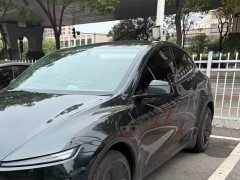 Tesla Model Y Rear-Wheel Drive - ფოტო 3