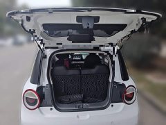 Changan Lumin 301km Honey Sweet Edition - ფოტო 15