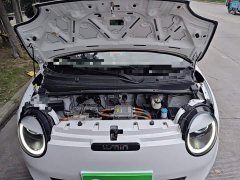 Changan Lumin 301km Honey Sweet Edition - ფოტო 16