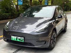 Tesla Model Y Rear-Wheel Drive - ფოტო 1