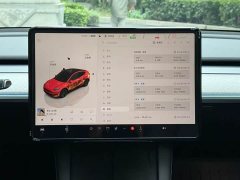 Tesla Model Y Rear-Wheel Drive - ფოტო 11
