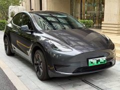 Tesla Model Y Rear-Wheel Drive - ფოტო 3