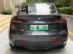 Tesla Model Y Rear-Wheel Drive - ფოტო 5