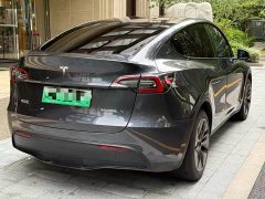 Tesla Model Y Rear-Wheel Drive - ფოტო 6