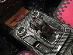 Tank 300 Off-Road Edition 2.0T Conqueror - ფოტო 14