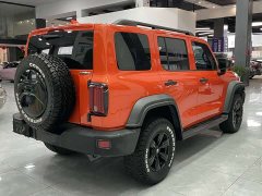Tank 300 Off-Road Edition 2.0T Conqueror - ფოტო 4