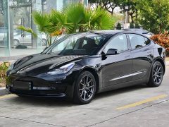 Tesla Model 3 Standard Range RWD Upgrade - ფოტო 1
