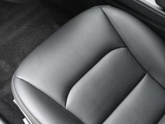 Tesla Model 3 Standard Range RWD Upgrade - ფოტო 15