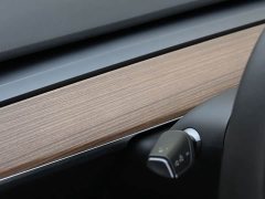 Tesla Model 3 Standard Range RWD Upgrade - ფოტო 19