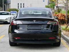 Tesla Model 3 Standard Range RWD Upgrade - ფოტო 4