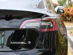 Tesla Model 3 Standard Range RWD Upgrade - ფოტო 6