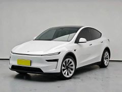 Tesla Model Y Rear-Wheel Drive - ფოტო 1